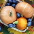 blueberry pumpkin fragrance oil