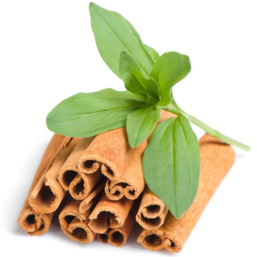 cinnamon essential oil