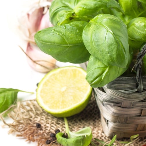 lime basil mandarin fragrance oil